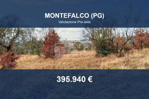 Immobile in asta di 25990 m² a Montefalco