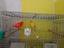 Immagine 2