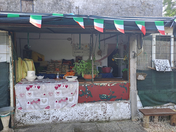 Terreno con frutteto e edificio