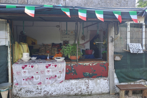 Terreno con frutteto e edificio