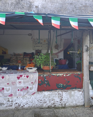 Terreno con frutteto e edificio