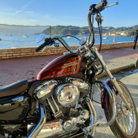 Harley Davidson XL1200V Sportster