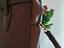 Immagine 3