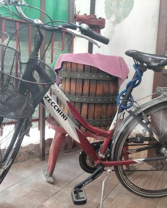 bici donna