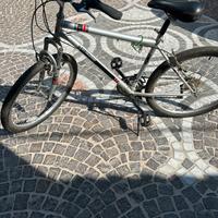 Biciletta da passeggio