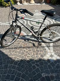 Biciletta da passeggio