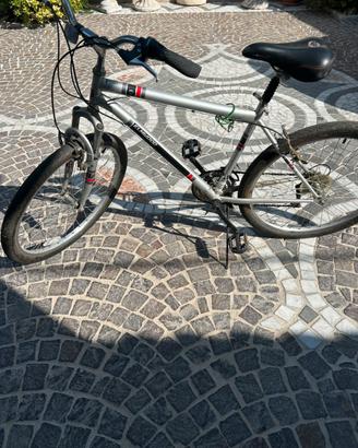 Biciletta da passeggio
