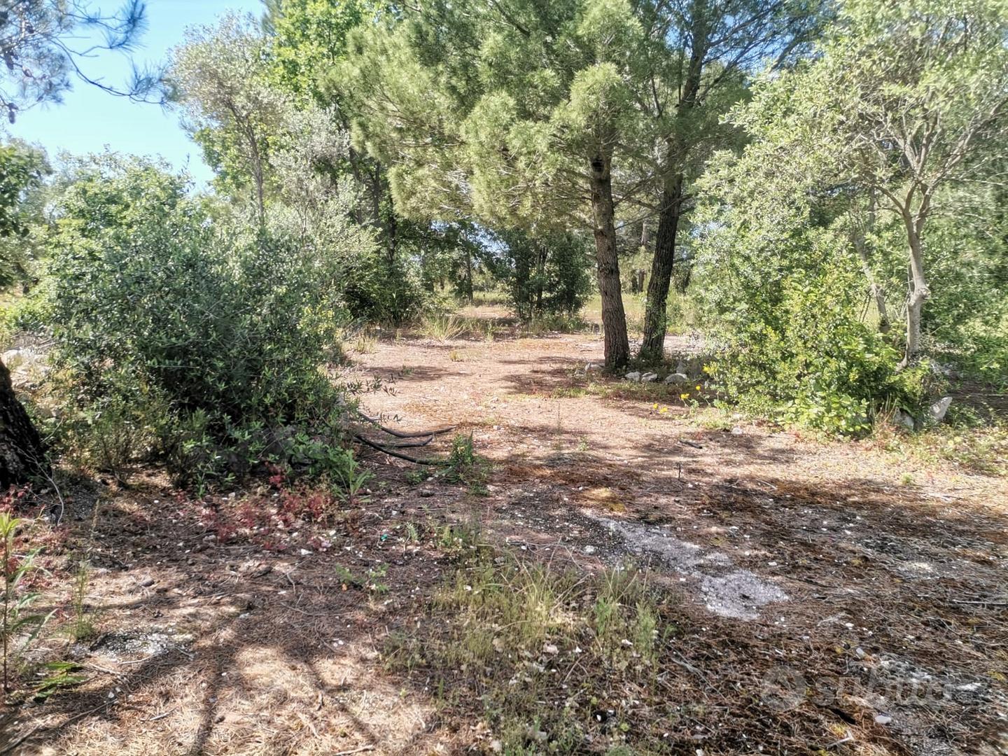 Terreno con trullo - Vista 5
