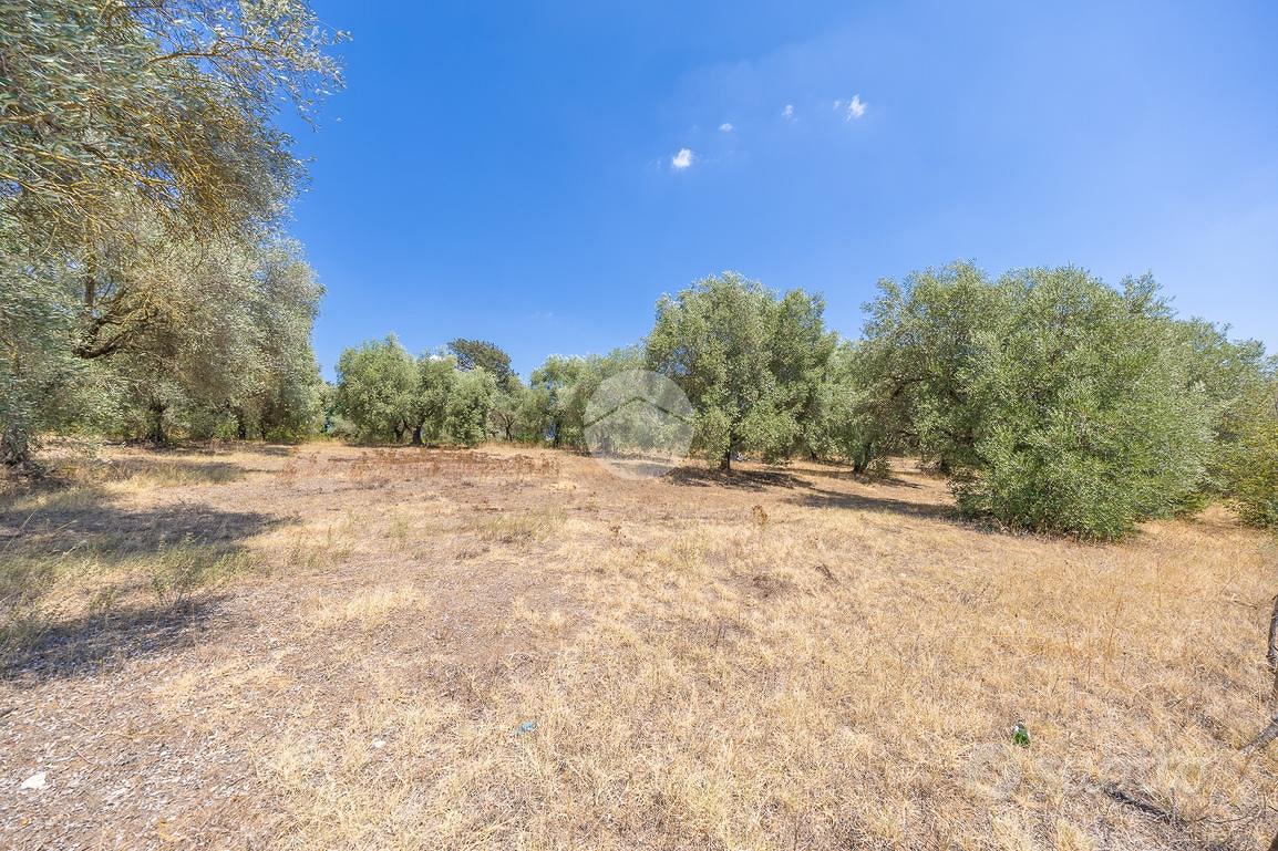 TER. AGRICOLO A GUIDONIA MONTECELIO - Vista 5