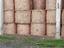 Immagine 2