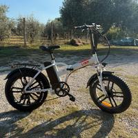 Bici elettrica Lion