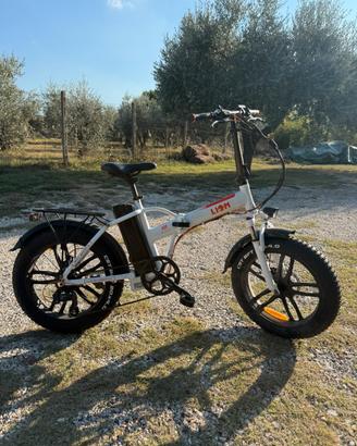 Bici elettrica Lion