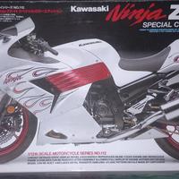 Tamiya  Kawasaki Ninja ZX-14 special color 