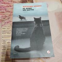 Io sono un gatto 😺