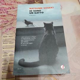 Io sono un gatto 😺