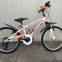 Bicicletta ruote da 20 