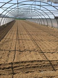 Tunnel Serre complete di impianto di irrigazione