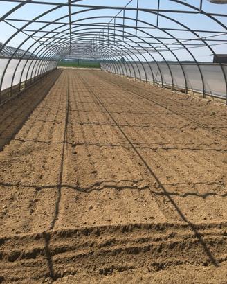 Tunnel Serre complete di impianto di irrigazione