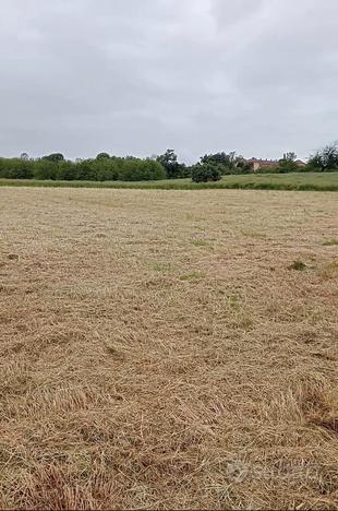 Terreno agricolo di 3300 mq. a Moncalieri