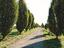 Immagine 6