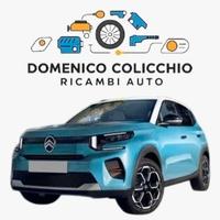 RICAMBI USATI CITROEN C3 2025