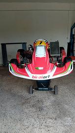 go kart kz birel art S12