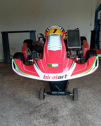 go kart kz birel art S12