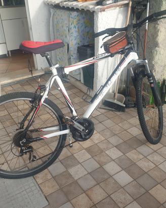  bici mountain bike