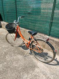 Bici olandese donna