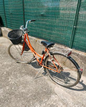 Bici olandese donna