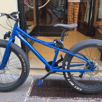 Fat bike