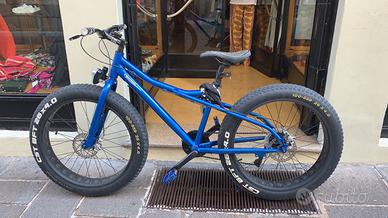 Fat bike