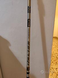 Italica fortexa Gold 7mt