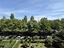 Immagine 24