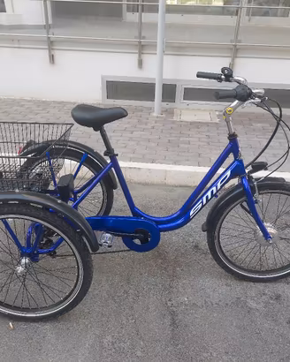 Bici elettrica a 3 ruote