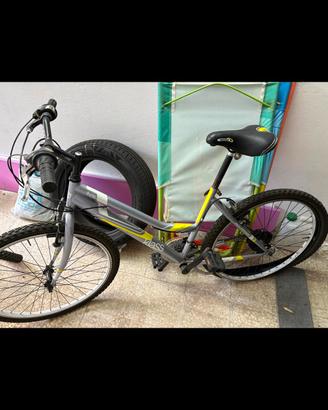 Stock Bici