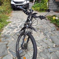 Fischer E-Bike MTB EM1724 29 Pollici
