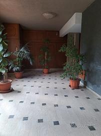 Stanze per studenti corso P. PISANI