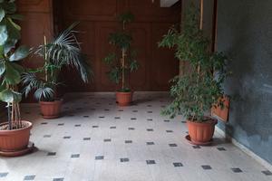 Stanze per studenti corso P. PISANI