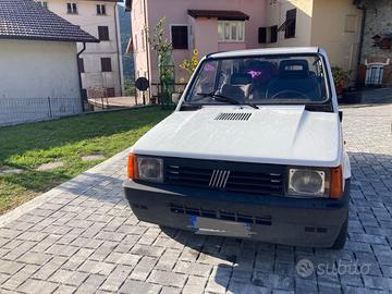 Panda