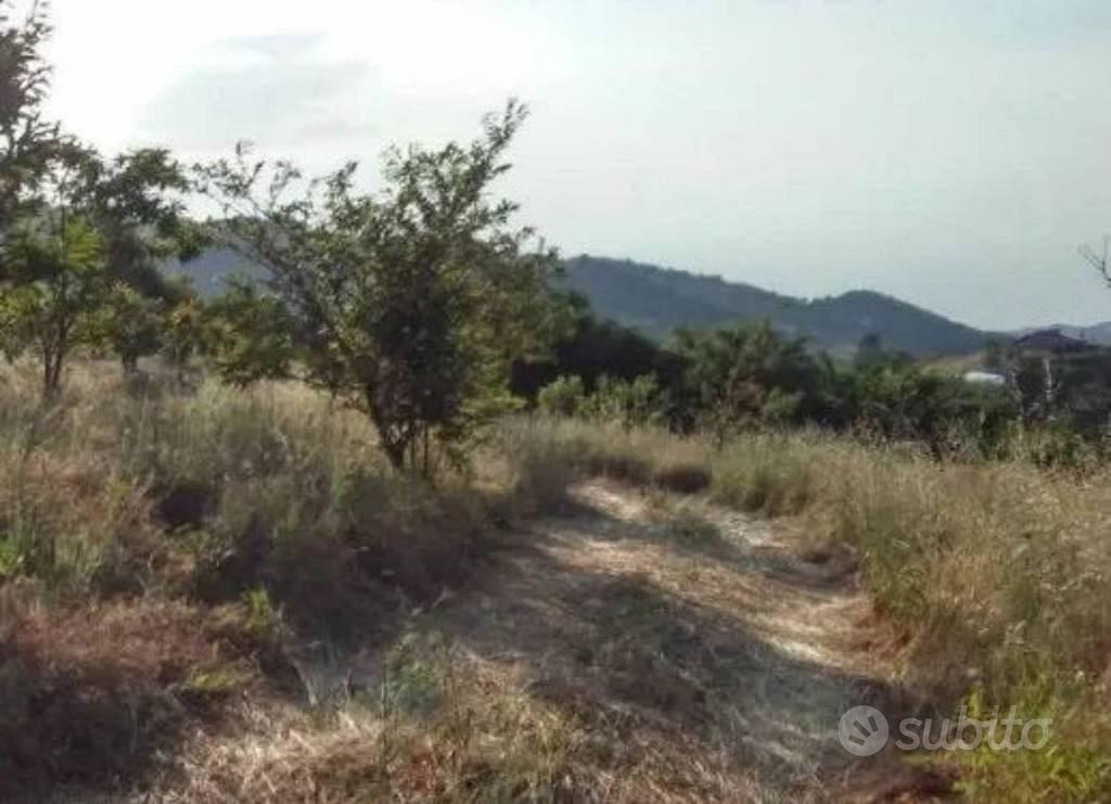 Immobile in asta di 5430 m² a Luzzi - Altro