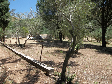 Terreno agricolo 3000mq+ rudere di 70mq