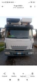 camion negozio