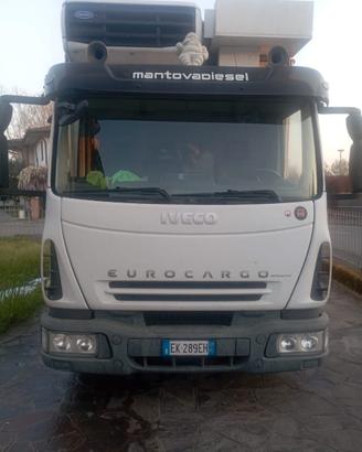 camion negozio