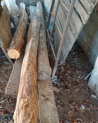 legno grezzo