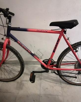 Bicicletta