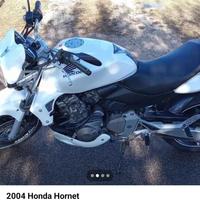 Honda hornet