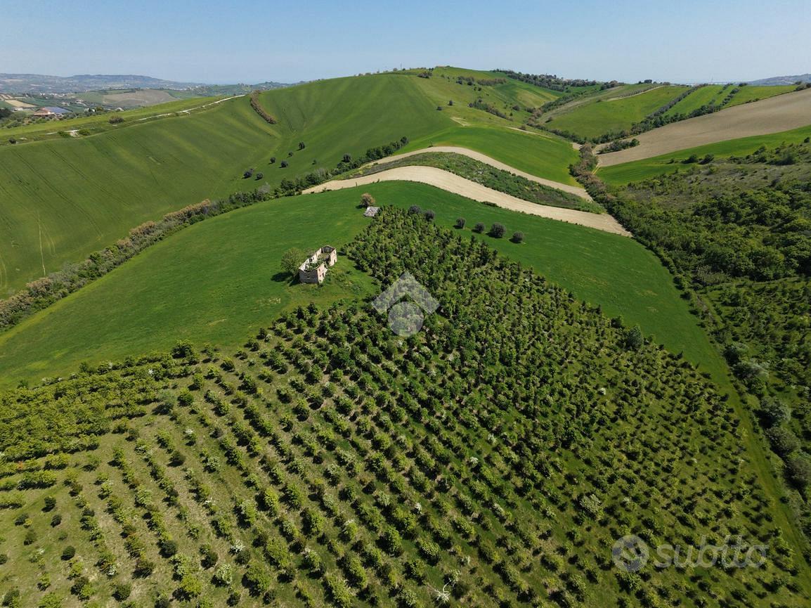 TER. AGRICOLO A SANT'OMERO - Vista 5