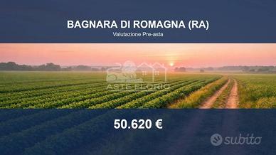 Immobile in asta di 32428 m² a Bagnara di Romagna
