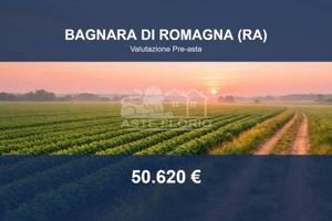 Immobile in asta di 32428 m² a Bagnara di Romagna